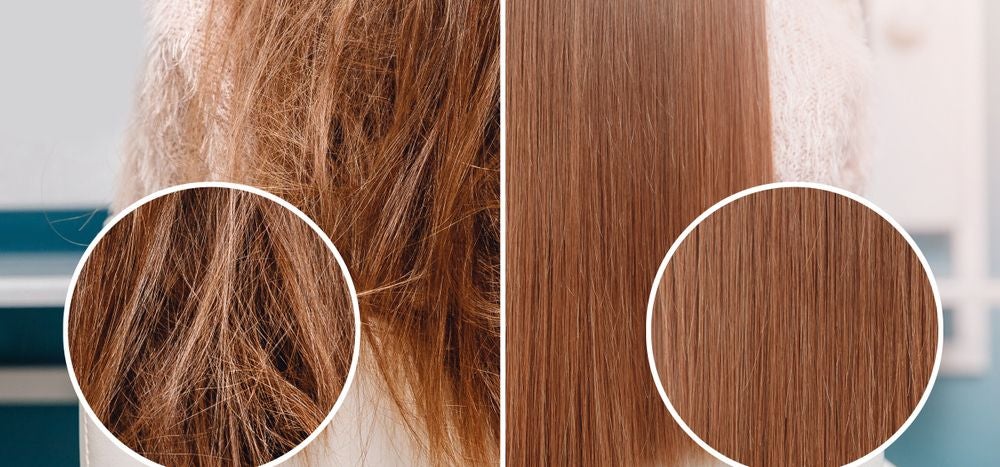 Diseño sin título - 1