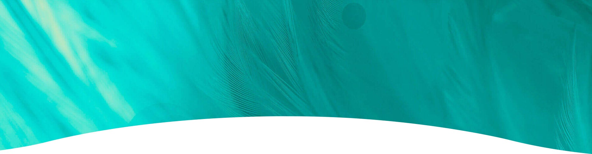 Todos los artículos Optims