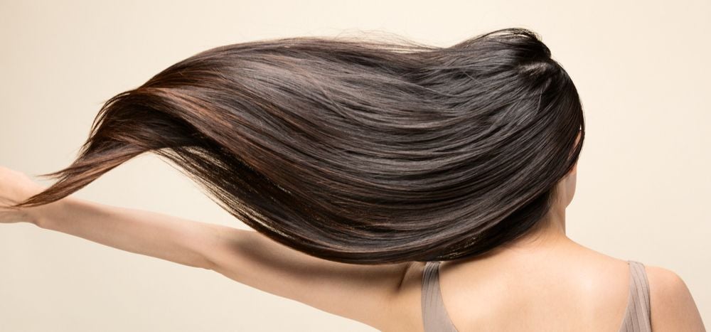 Diseño sin título - 1